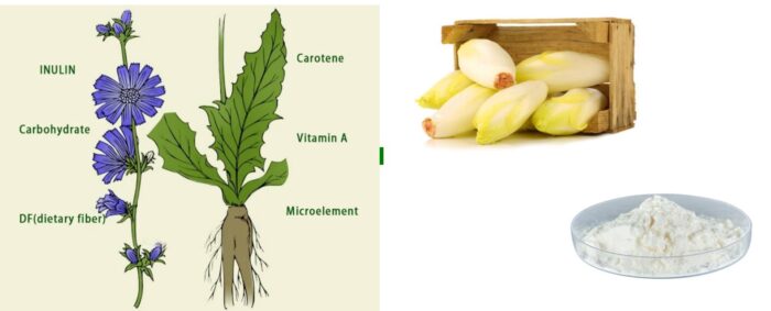 Mis on Inulin dietary fiber prebiootikum, kiudaine golden stevia magusaine inuliiniga