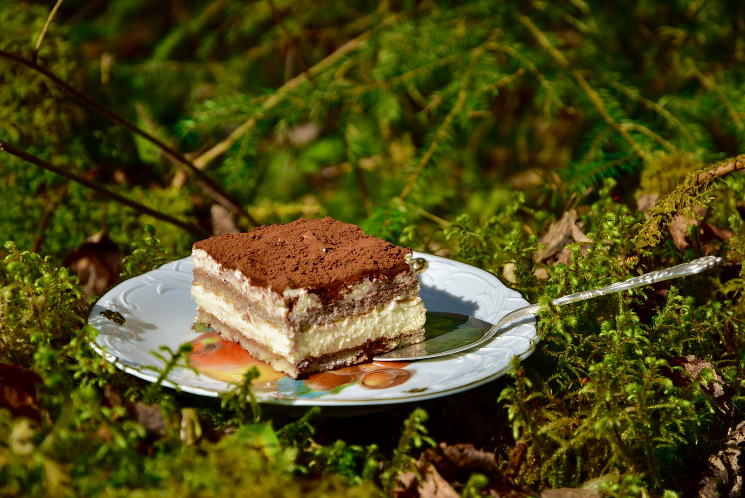 Kust osta Suhkruvaba Keto gluteenivaba diabeetikute low carb Tiramisu