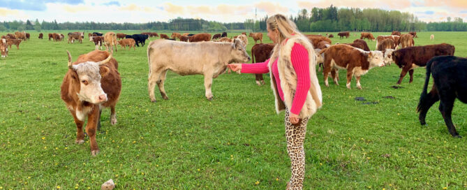 nnika Urm Mahe veise farmis Urmas Sepp Vaba Eesti Veiko Huuse Pulli aju, pulli munad