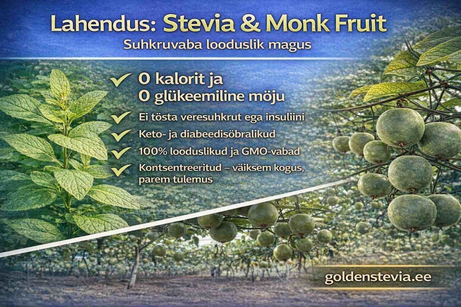 Lahendus:Stevia & Monk Fruit Suhkruvaba looduslik magus Golden Stevia