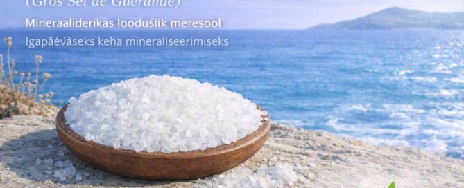 Guérande jäme meresool (Gros Sel humide) – 500 g Looduslik mineraaliderikas Guérande meresool igapäevaseks kokanduseks ja keha mineraliseerimiseks.