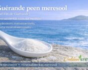 Guérande peen meresool Sel Fin de Guérande / Ground Sea Salt – 500 g Golden Stevia e-pood