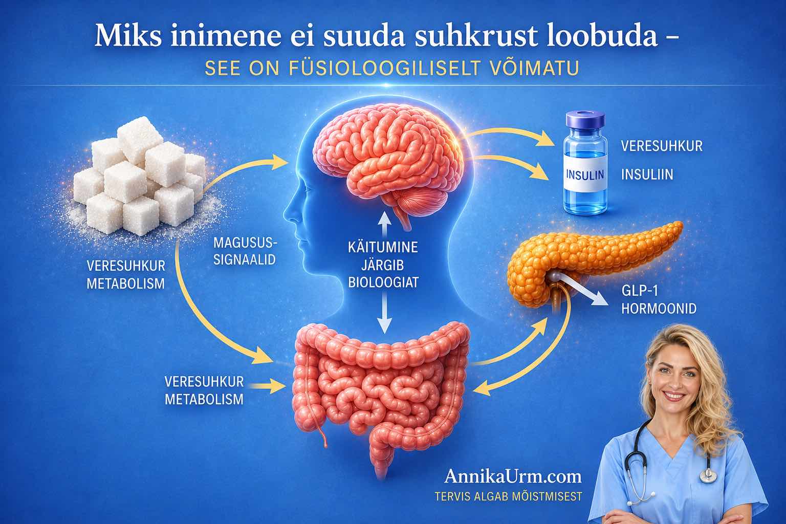 Miks inimene ei suuda suhkrust loobuda – veresuhkru, insuliini, GLP-1 ja aju seoseid selgitav low carb keto infograafik Annika Urm